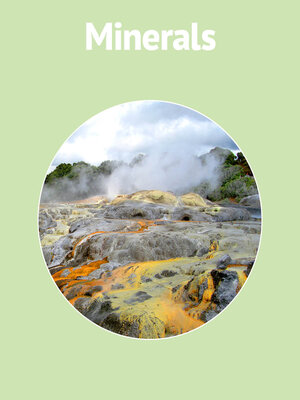 cover image of Minerals